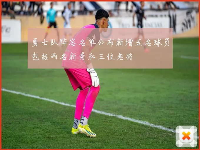 勇士队阵容名单公布新增五名球员包括两名新秀和三位老将
