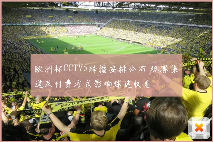 欧洲杯CCTV5转播安排公布 观赛渠道及付费方式影响球迷收看