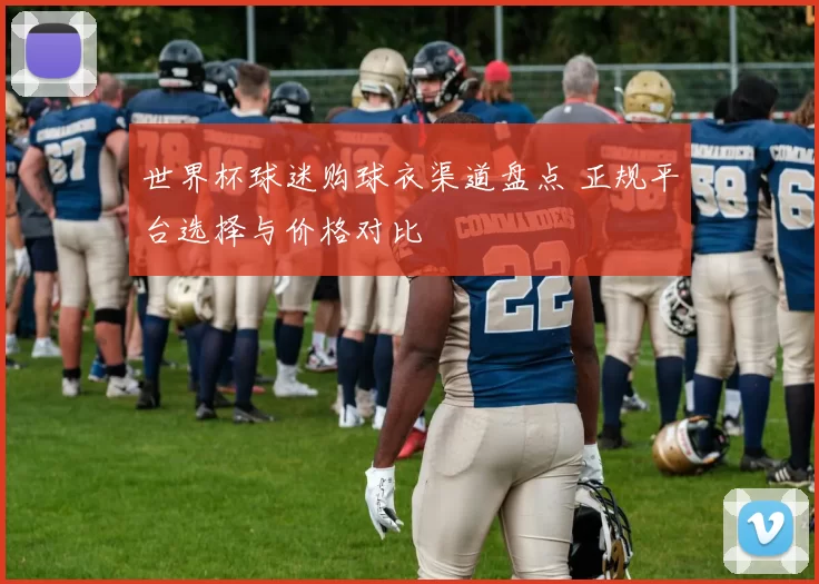世界杯球迷购球衣渠道盘点 正规平台选择与价格对比